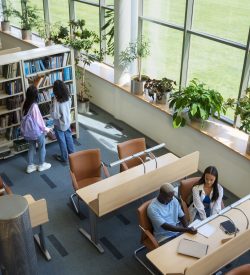 high-angle-students-learning-library